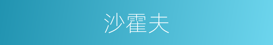 沙霍夫的同义词