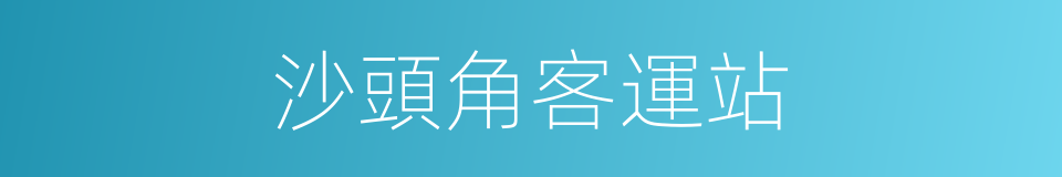 沙頭角客運站的同義詞