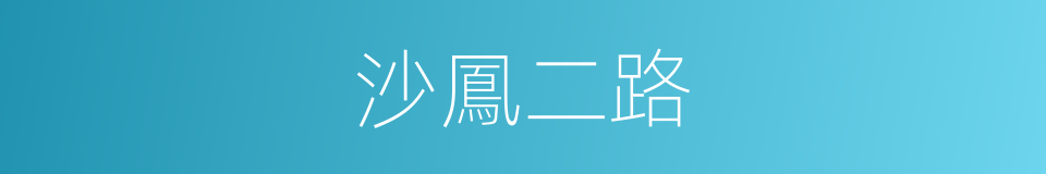 沙鳳二路的同義詞