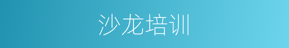 沙龙培训的同义词