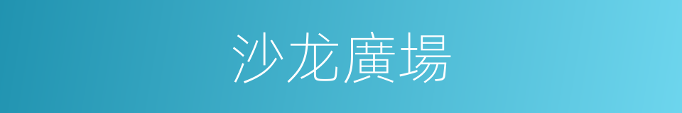 沙龙廣場的同義詞