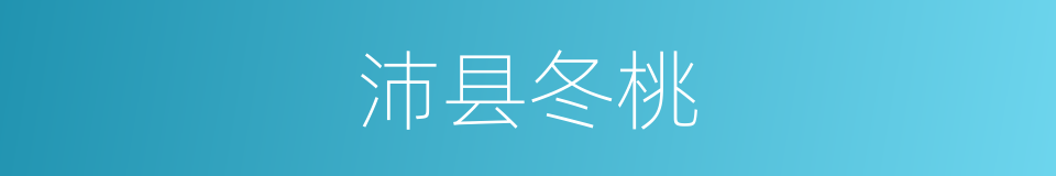 沛县冬桃的同义词