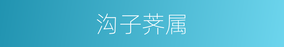 沟子荠属的同义词