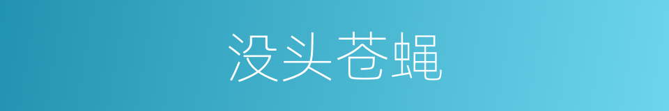 没头苍蝇的意思