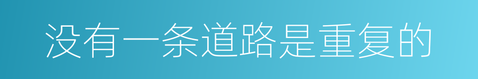 没有一条道路是重复的的同义词