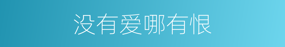 没有爱哪有恨的同义词