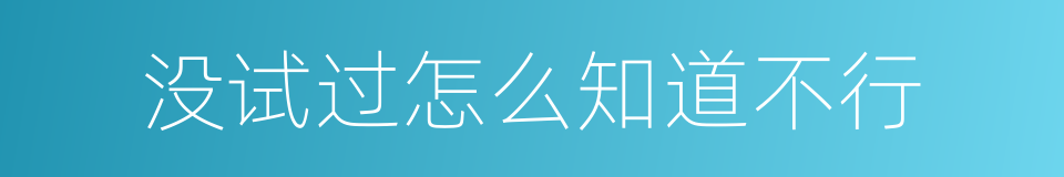 没试过怎么知道不行的同义词