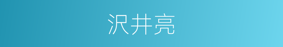 沢井亮的同义词