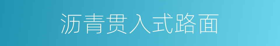 沥青贯入式路面的同义词