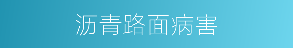 沥青路面病害的同义词