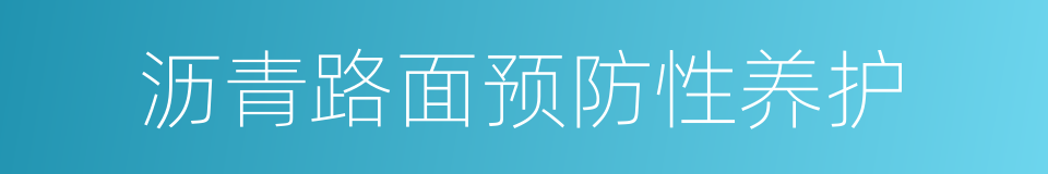 沥青路面预防性养护的同义词