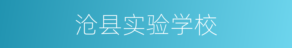沧县实验学校的同义词
