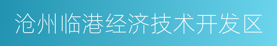 沧州临港经济技术开发区的同义词