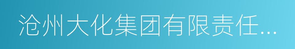 沧州大化集团有限责任公司的同义词