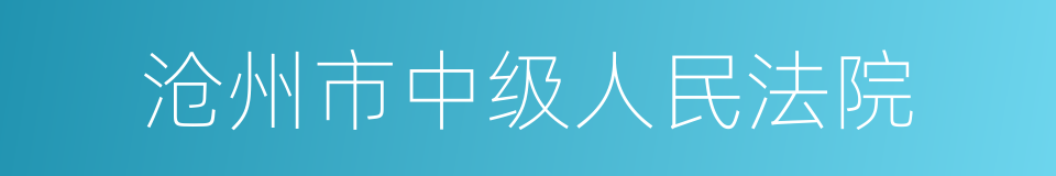 沧州市中级人民法院的同义词