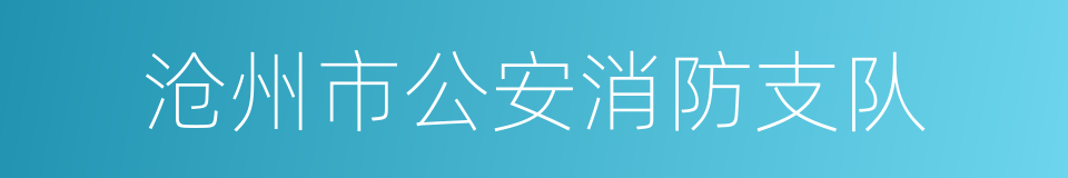 沧州市公安消防支队的同义词