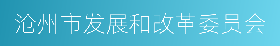 沧州市发展和改革委员会的同义词