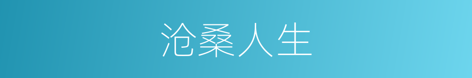 沧桑人生的同义词