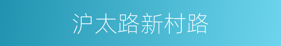 沪太路新村路的同义词