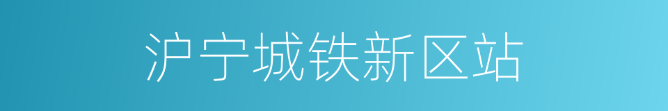 沪宁城铁新区站的同义词