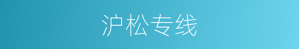沪松专线的同义词
