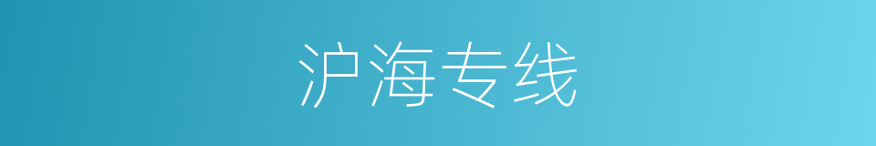 沪海专线的同义词