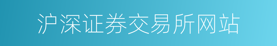 沪深证券交易所网站的同义词