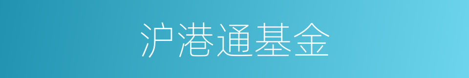 沪港通基金的同义词