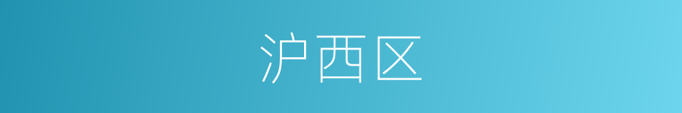 沪西区的同义词