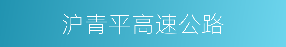 沪青平高速公路的同义词