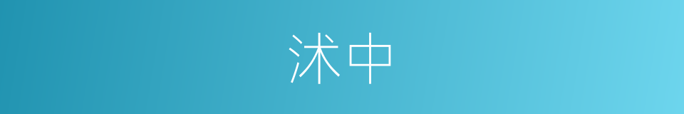 沭中的同义词