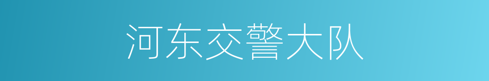 河东交警大队的同义词
