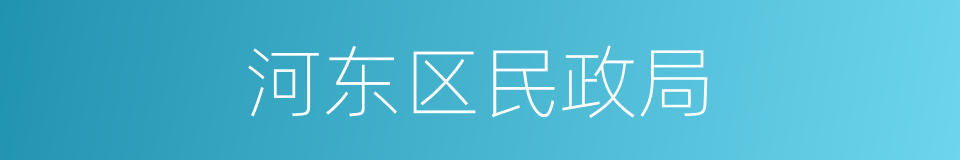 河东区民政局的同义词