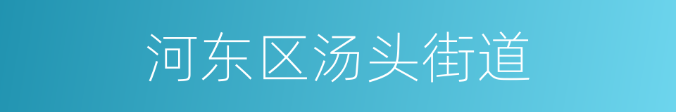 河东区汤头街道的同义词