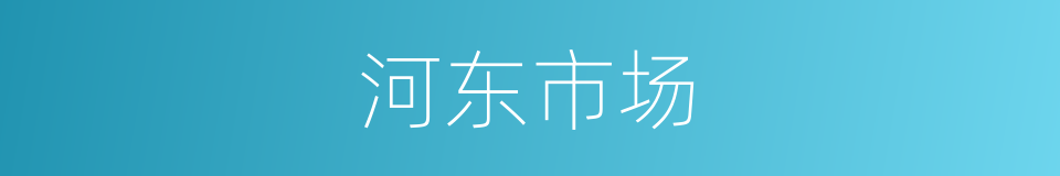 河东市场的同义词