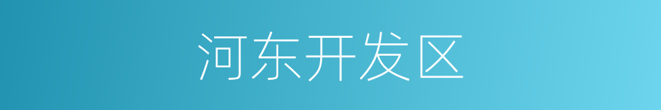 河东开发区的同义词