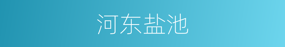 河东盐池的同义词