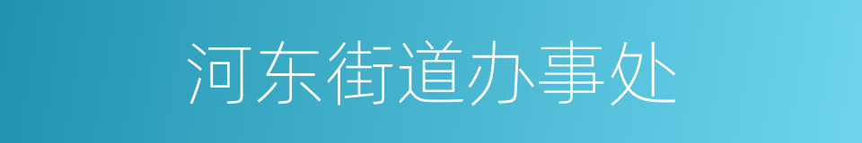 河东街道办事处的同义词