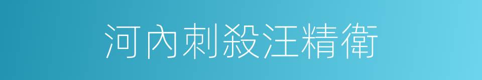 河內刺殺汪精衛的同義詞