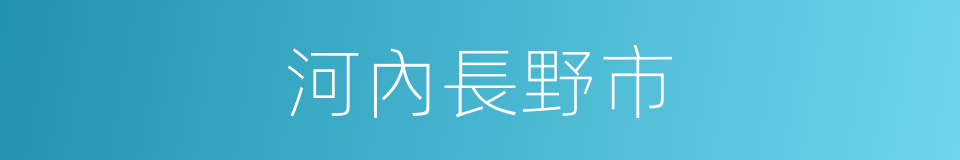 河內長野市的同義詞