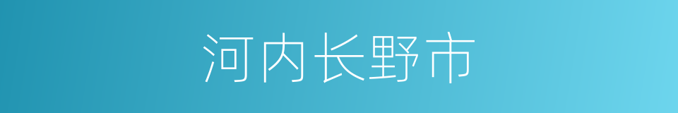 河内长野市的同义词