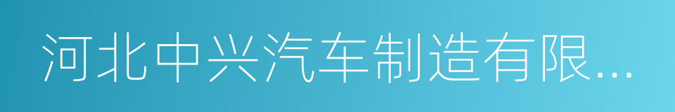 河北中兴汽车制造有限公司的同义词