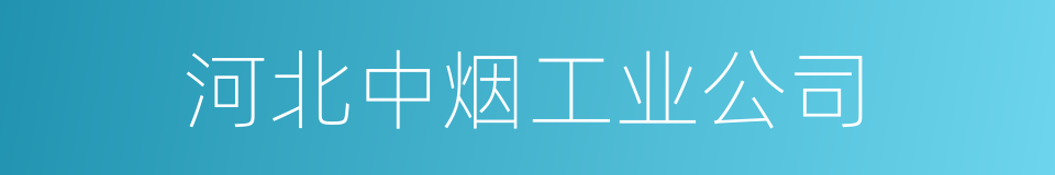 河北中烟工业公司的同义词