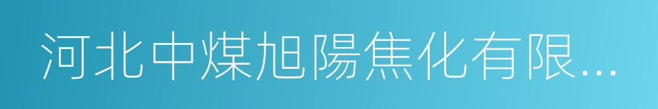 河北中煤旭陽焦化有限公司的同義詞