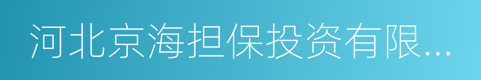 河北京海担保投资有限公司的同义词