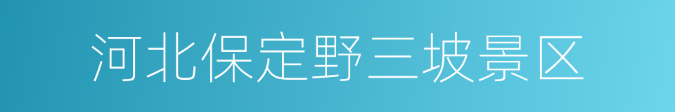 河北保定野三坡景区的同义词