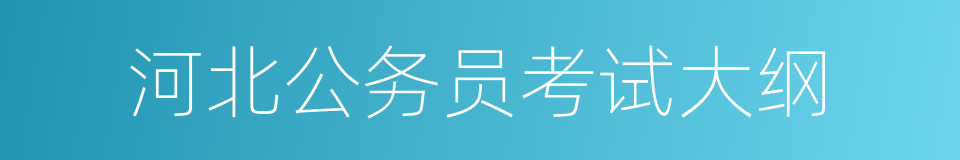 河北公务员考试大纲的同义词