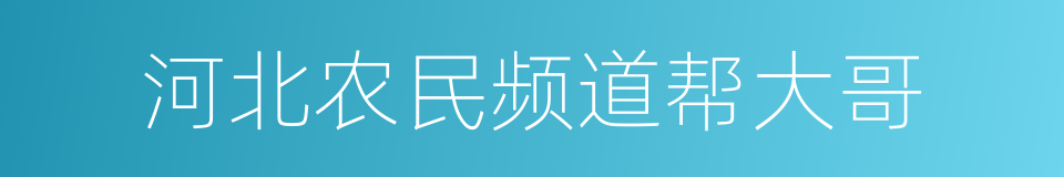 河北农民频道帮大哥的同义词