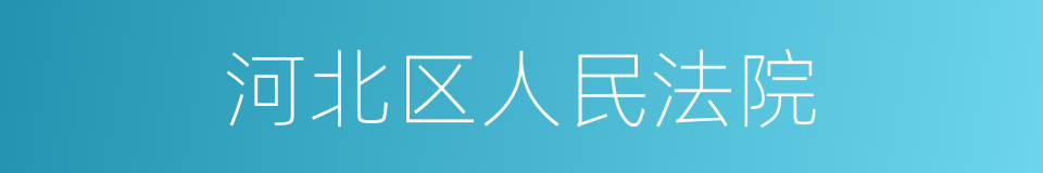 河北区人民法院的同义词