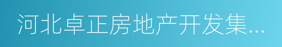 河北卓正房地产开发集团有限公司的同义词